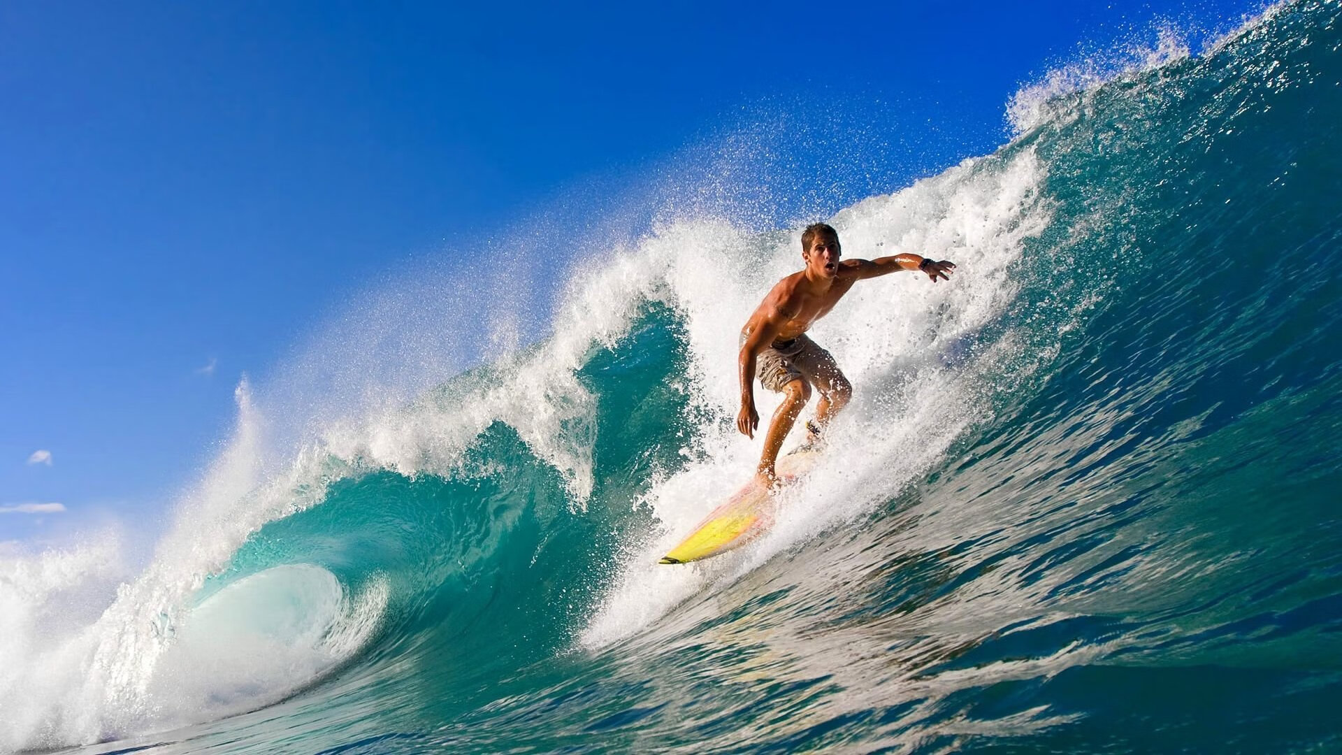 欧冠“未来之星”闪耀登场：新秀掀起风暴，nba未来之星